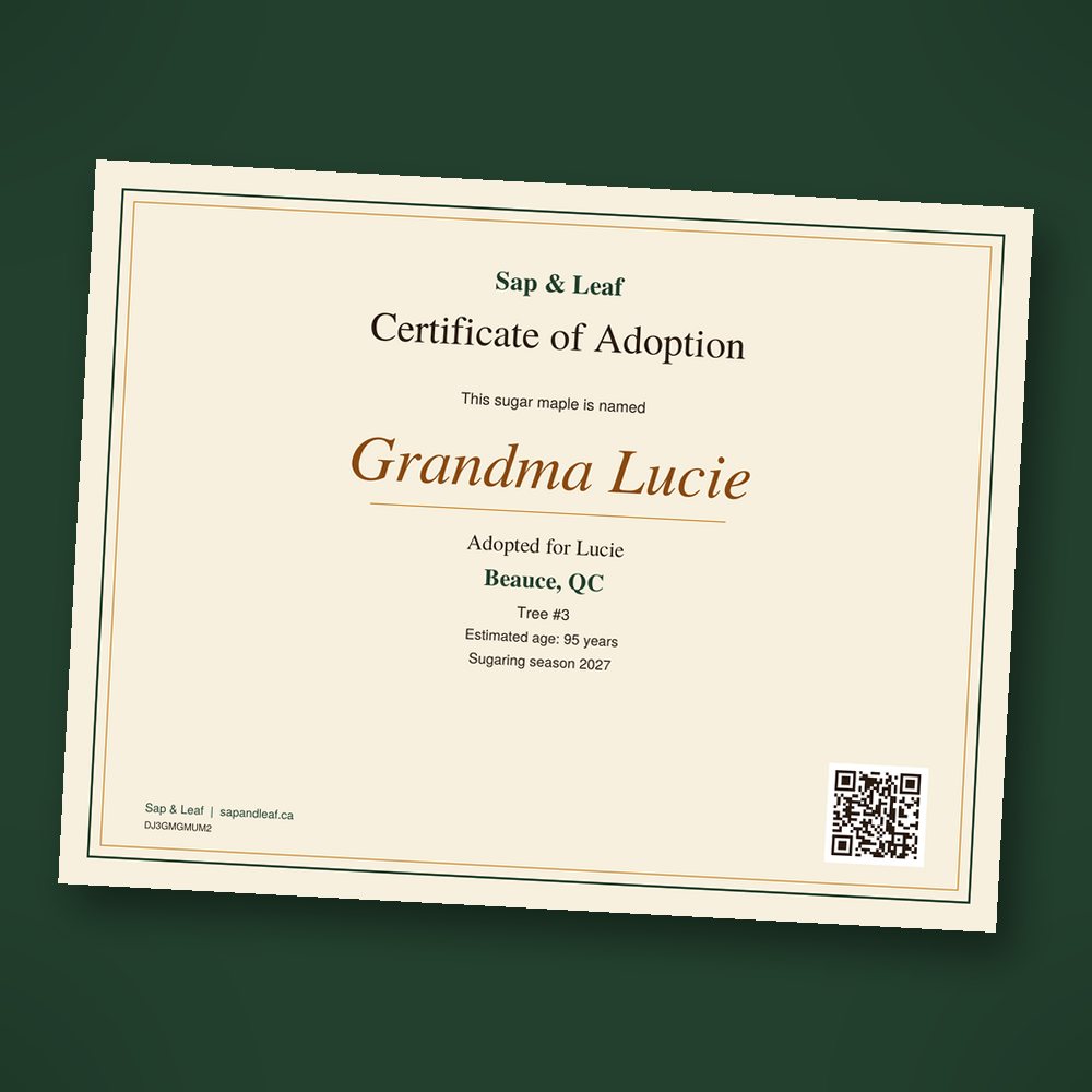Adoption certificate with the tree’s name and photo